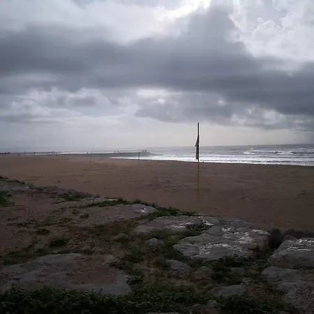 And Surf Lovers *