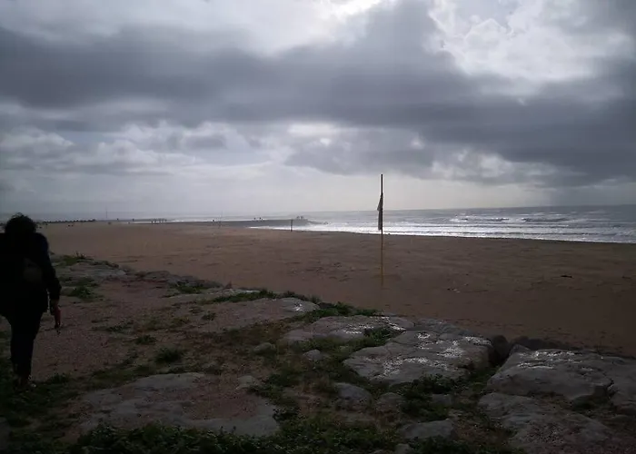 And Surf Lovers *